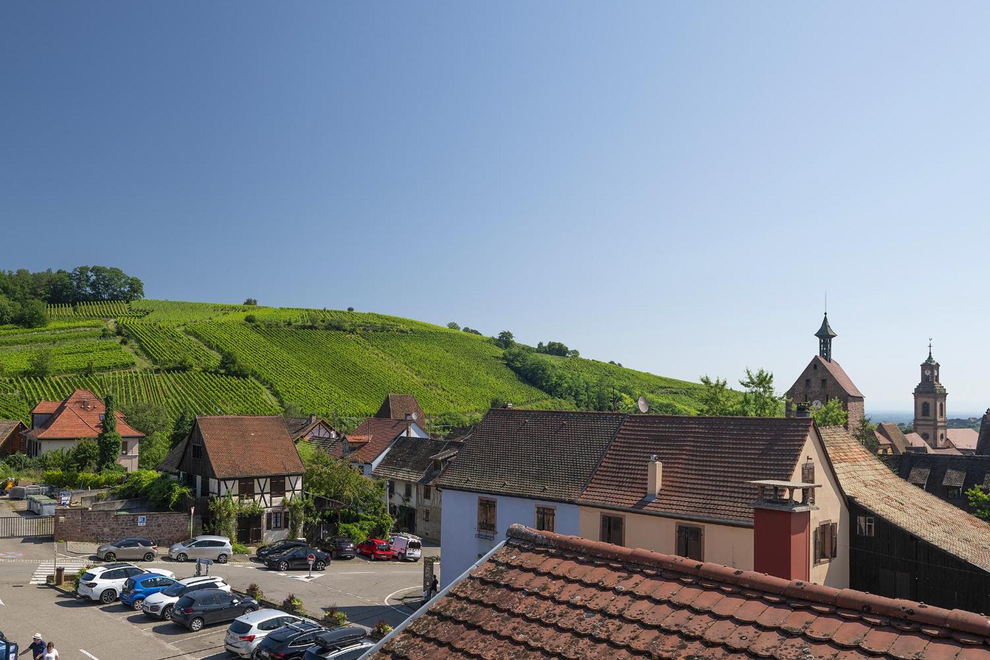 利克维Riesling - Vue Imprenable Sur Le Vignoble - Renove Recemment - Parking Gratuit公寓 外观 照片